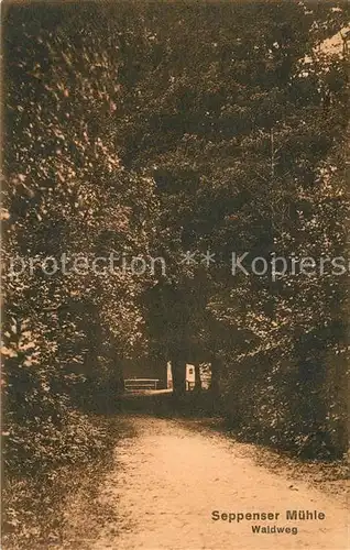 AK / Ansichtskarte Seppensen Waldweg zur Muehle Kat. Buchholz in der Nordheide