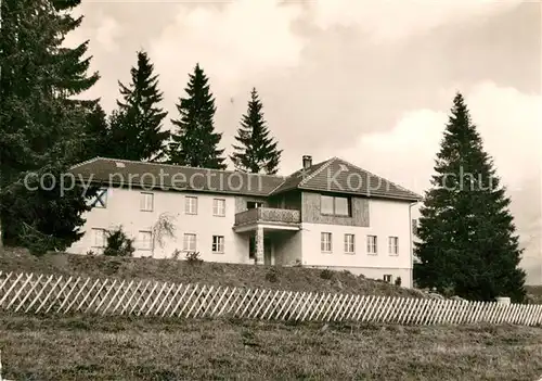 AK / Ansichtskarte Falkau Haus Sternfried Kat. Feldberg (Schwarzwald)