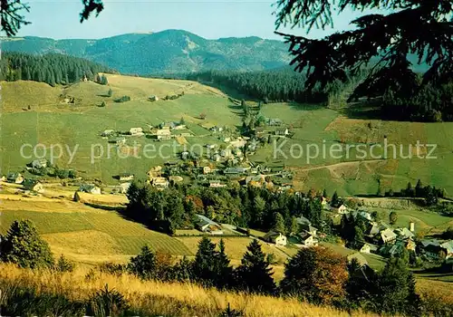 AK / Ansichtskarte Todtnauberg Panorama Luftkurort im Schwarzwald Kat. Todtnau