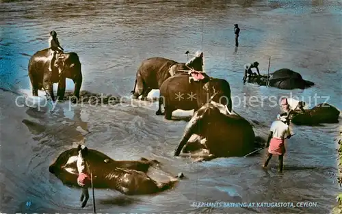 AK / Ansichtskarte Ceylon Sri Lanka Elephants bathing at Katugastota