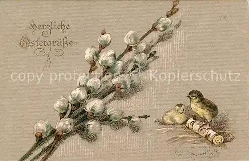 AK / Ansichtskarte Ostern Easter Paques Kueken Weidenkaetzchen Litho  Kat. Greetings