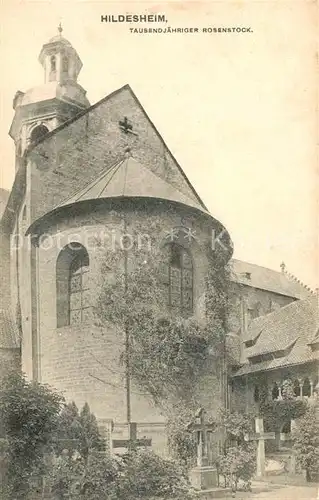 AK / Ansichtskarte Hildesheim 1000jaehriger Rosenstock Kirche Kat. Hildesheim