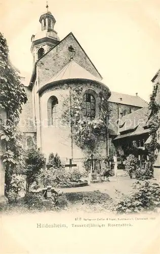 AK / Ansichtskarte Hildesheim 1000jaehriger Rosenstock Friedhof Kirche Kat. Hildesheim