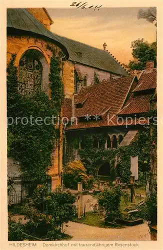 AK / Ansichtskarte Hildesheim Domkirchhof mit tausendjaehrigem Rosenstock Kat. Hildesheim