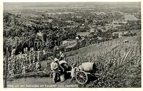 AK / Ansichtskarte Tiergarten Ortenau Blick von den Rebbergen Kat. Oberkirch