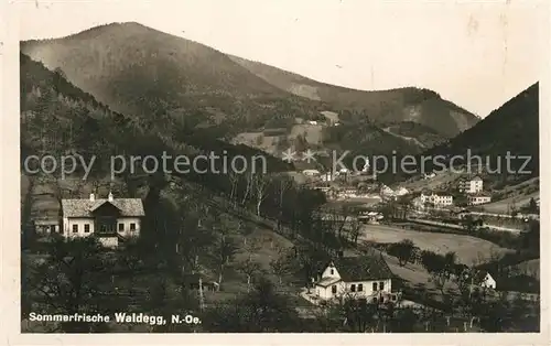 AK / Ansichtskarte Waldegg Niederoesterreich Panorama Kat. Waldegg