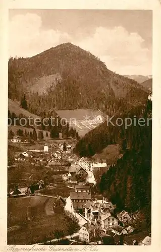 AK / Ansichtskarte Gutenstein Niederoesterreich Panorama Kat. Gutenstein