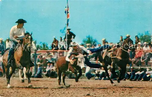 AK / Ansichtskarte Pferdesport Pferderennen Reitsport Rodeo Calgary Stampede Kat. Sport