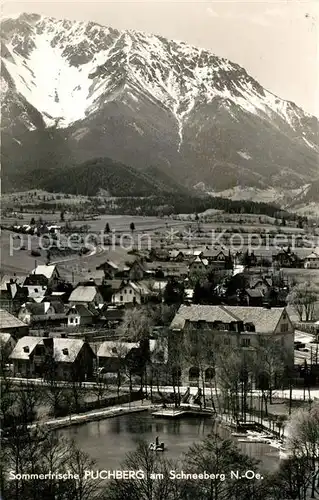 AK / Ansichtskarte Puchberg Schneeberg am Schneeberg Kat. Puchberg am Schneeberg