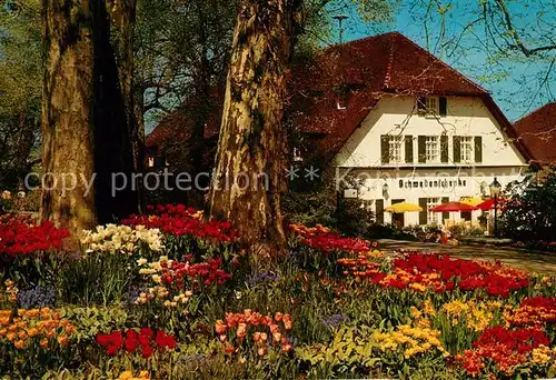 AK / Ansichtskarte Insel Mainau Schwedenschenke im Fruehling Kat. Konstanz Bodensee