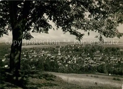 AK / Ansichtskarte Markneukirchen Panorama Musikstadt Kat. Markneukirchen