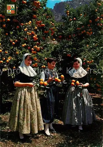 Trachten Spanien Mallorca Entre Naranjos