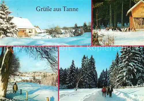 AK / Ansichtskarte Tanne Harz Oberdorf Muffelwild Harteweg Wanderweg Winterlandschaft Kat. Tanne Harz