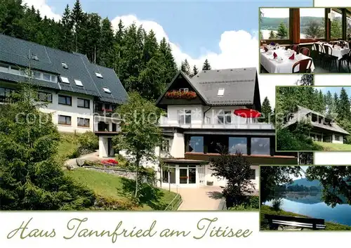 AK / Ansichtskarte Hinterzarten Haus Tannfried am Titisee Kat. Hinterzarten