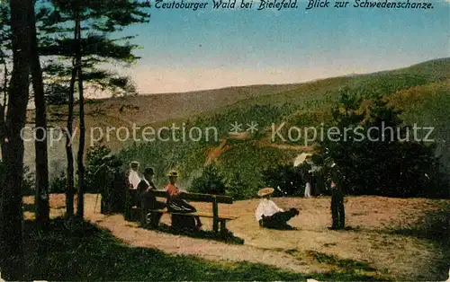 AK / Ansichtskarte Teutoburgerwald bei Bielefeld Blick zur Schwedenschanze Kat. Detmold