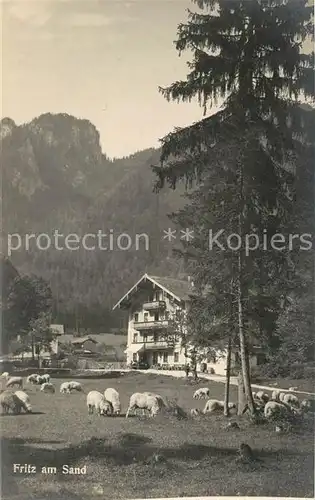 AK / Ansichtskarte Fritz am Sand Gasthaus Schafherde Kat. Ruhpolding