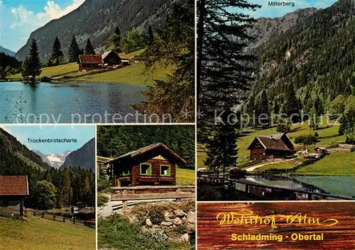 AK / Ansichtskarte Schladming Obersteiermark Wehrhof Alm Obertal Kat. Schladming