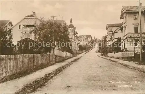 AK / Ansichtskarte Tambach Dietharz Waldstrasse Kat. Tambach Dietharz