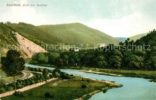 AK / Ansichtskarte Saalfeld Saale Blick ins Saaletal Kat. Saalfeld