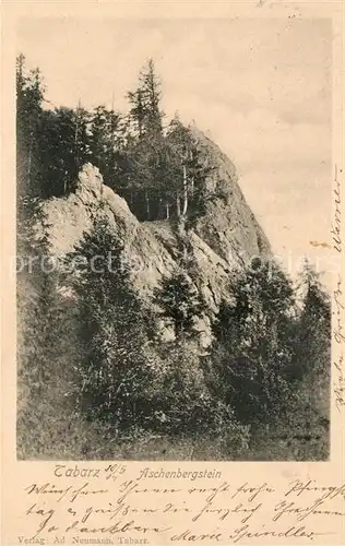 AK / Ansichtskarte Tabarz Aschenbergstein Kat. Tabarz Thueringer Wald