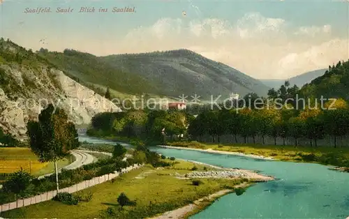 AK / Ansichtskarte Saalfeld Saale Blick ins Saaletal Kat. Saalfeld