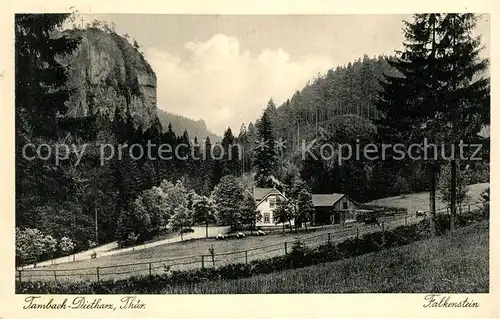 AK / Ansichtskarte Tambach Dietharz Falkenstein Kat. Tambach Dietharz