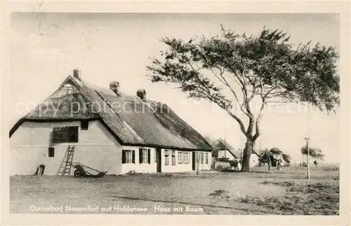 Neuendorf Hiddensee Haus mit Baum Kat. Insel Hiddensee