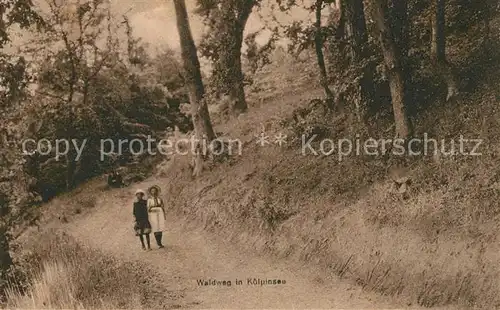 Koelpinsee Usedom Waldweg Kat. Usedom