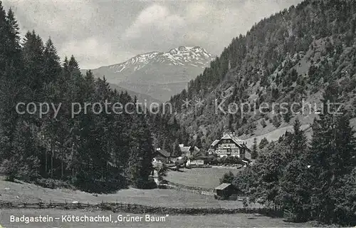 AK / Ansichtskarte Badgastein Koetschachtal Gruener Baum Kat. Bad Gastein