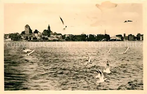 Waren Mueritz Blick von der Mueritz auf die Stadt Moewen Kat. Waren Mueritz