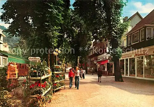 AK / Ansichtskarte Bad Harzburg Bummelallee Kat. Bad Harzburg