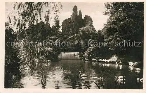 Stellingen Hamburg Carl Hagenbecks Tierpark Japanische Insel Wasservoegel Felsen