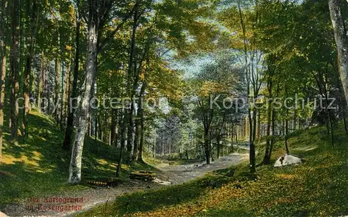 Hamburg Karlsgrund im Rosengarten Wald Natur Kat. Hamburg