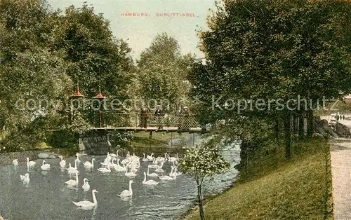 AK / Ansichtskarte Hamburg Gurlittinsel Schwaene Kat. Hamburg