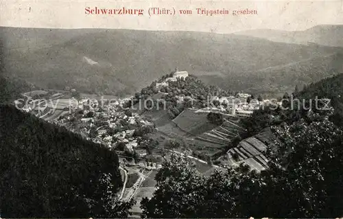 AK / Ansichtskarte Schwarzburg Thueringer Wald Blick vom Trippstein Kat. Schwarzburg