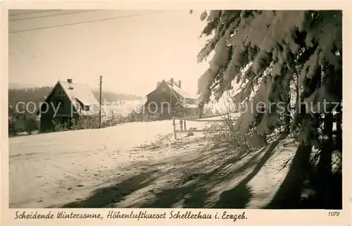 AK / Ansichtskarte Schellerhau Winteridyll Kat. Altenberg