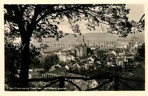 AK / Ansichtskarte Bad Freienwalde Stadtpanorama vom Schlossberg gesehen Kat. Bad Freienwalde