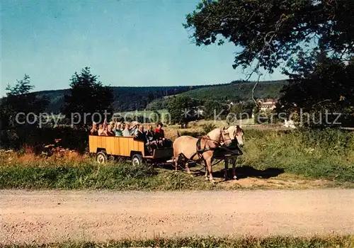 AK / Ansichtskarte Neuhaus Solling Froehliche Kutschfahrt Kat. Holzminden