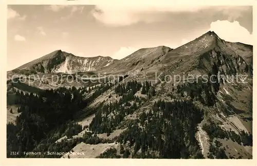 Fellhorn Schlappoldereck Gebirgspanorama Allgaeuer Alpen Kat. Oberstdorf