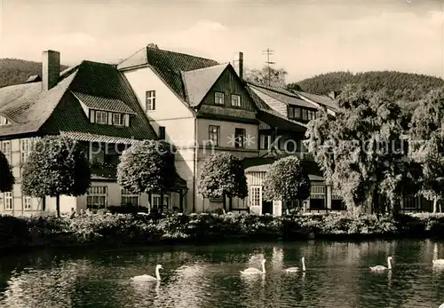 AK / Ansichtskarte Ilsenburg Harz Forellenteich Schwaene Kat. Ilsenburg Harz