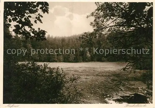 Abterode Frau Holle Teich am Meissner Wald Kat. Meissner