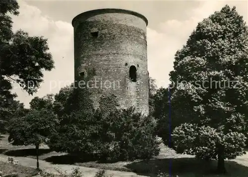 AK / Ansichtskarte Salzwedel Burgturm Kat. Salzwedel