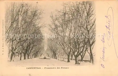 AK / Ansichtskarte Carpentras Promenades des Platanes Kat. Carpentras