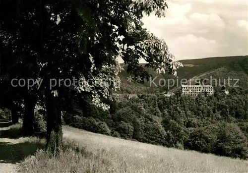 AK / Ansichtskarte Schwarzburg Thueringer Wald Schloss Kat. Schwarzburg