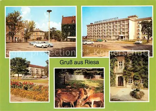 AK / Ansichtskarte Riesa Sachsen Rathaus Tierpark Leninplatz Kat. Riesa