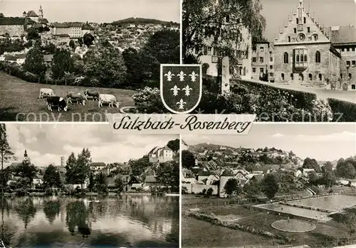 AK / Ansichtskarte Sulzbach Rosenberg Schwimmbad Rathaus Panorama Kat. Sulzbach Rosenberg