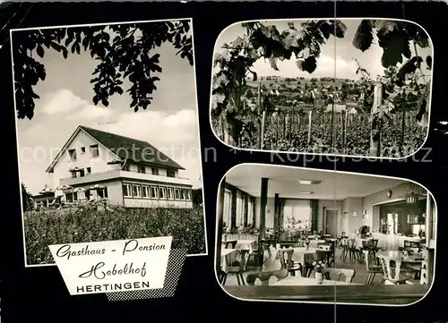 AK / Ansichtskarte Hertingen Bad Bellingen Gasthaus Pension Hebelhof Kat. Bad Bellingen