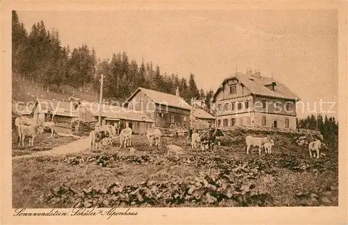 AK / Ansichtskarte Sonnwendstein Friedrich Schueler Alpenhaus Almvieh Kuehe Kat. Oesterreich