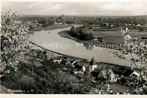 AK / Ansichtskarte Regensburg Donaupartie Kat. Regensburg