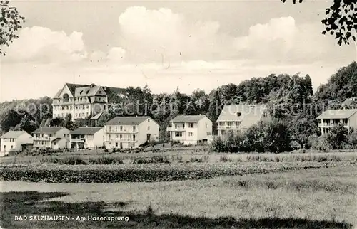 AK / Ansichtskarte Bad Salzhausen Am Hasensprung Kat. Nidda